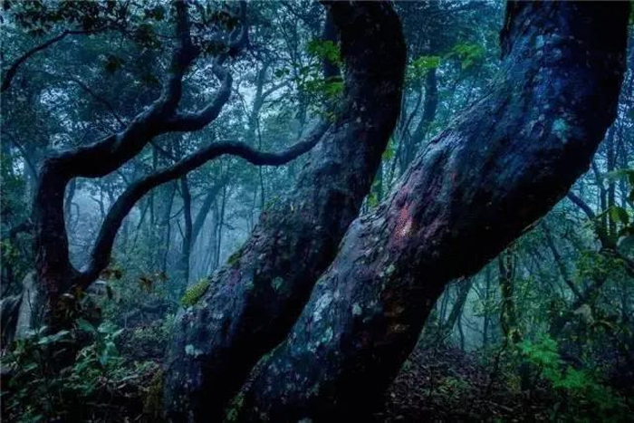 【夢想聚團(tuán)隊 團(tuán)隊創(chuàng)輝煌】西微雅團(tuán)建活動——長白山之旅(圖13)